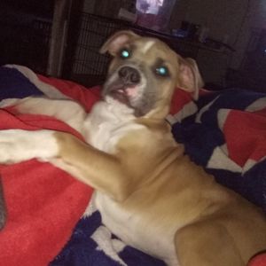 Meet your Posher, Gene